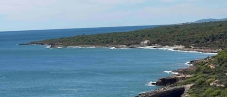 A coastal landscape with a clear sky, rocky shoreline, and vegetation.