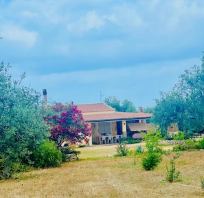 Exterior - Apple House Vacation Home (Sorso)