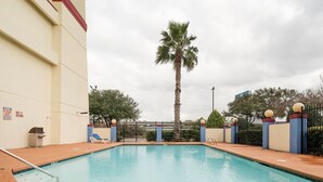 En swimmingpool med et palmetræ, et skilt med teksten 'No Diving' og et hegn med dekorative detaljer.