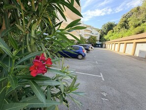 Uma área de estacionamento com carros, um edifício com varandas e uma planta com flores vermelhas.
