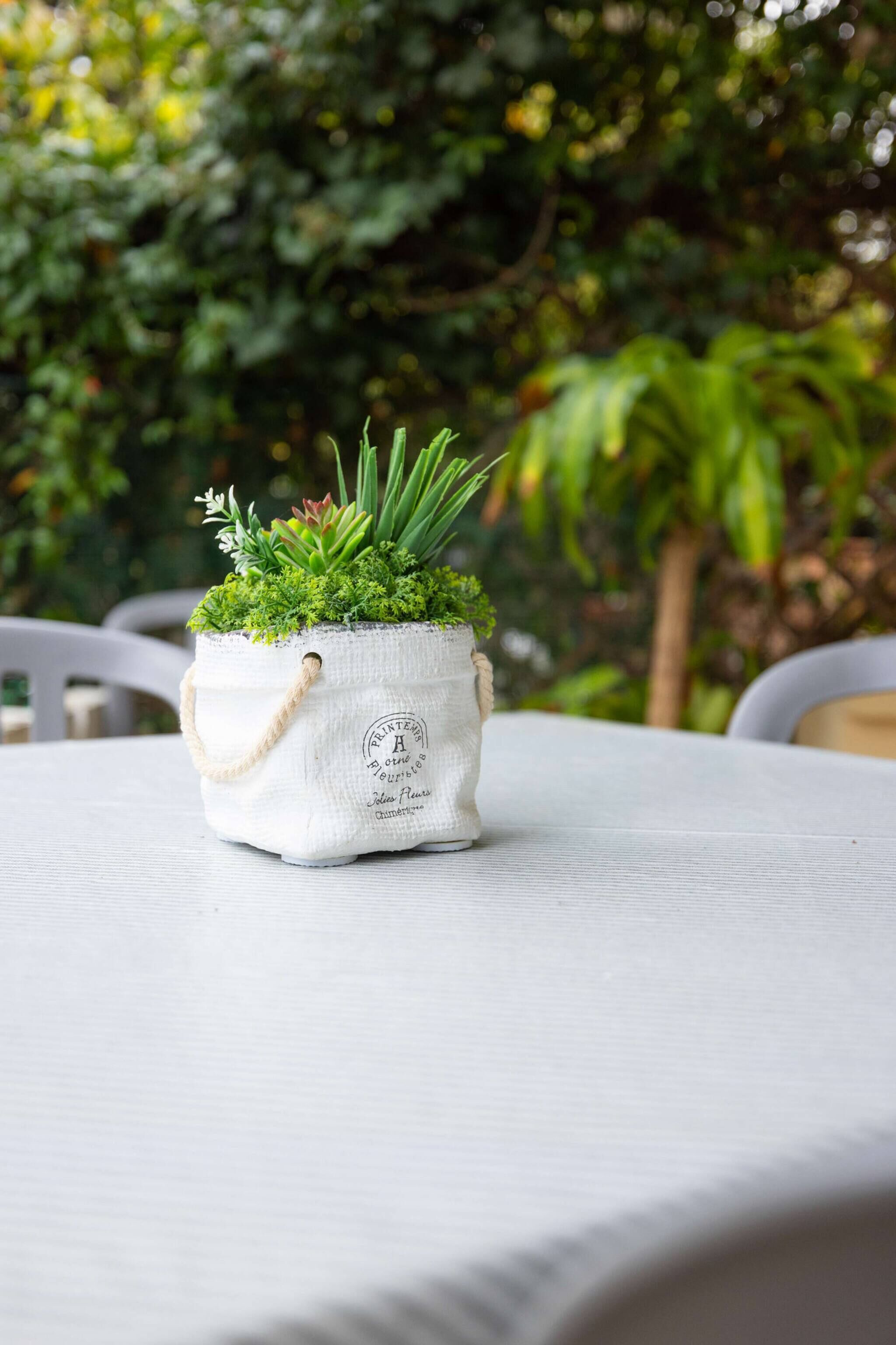 Een klein potplantje op een tafel met een witte tafelkleed.
