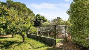 A garden with a fenced area, trees, and a clear sky. - HAVELI...... (Metung)
