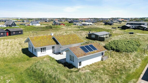 Ein Wohngebiet mit Häusern, die Gründächer und Solaranlagen haben.