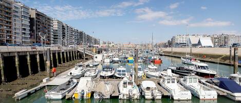 Un puerto deportivo con barcos amarrados, un puente y edificios al fondo.