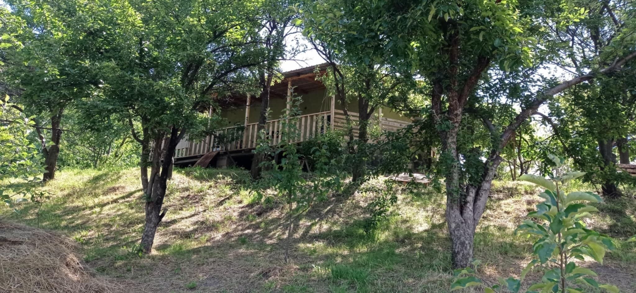 A wooden cabin with a deck, surrounded by trees and grass.