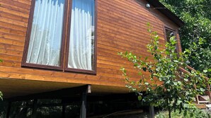A wooden cabin with two large windows, a sloped roof, and a garden area with a small tree.