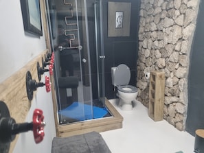 Chambre, 1 chambre, accessible aux personnes à mobilité réduite, fumeurs | Salle de bain