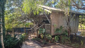 Una estructura de madera rústica con techo de paja, rodeada de exuberante vegetación y un camino empedrado.