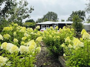 Uklassifisert bilde, 5 av 25, knapp