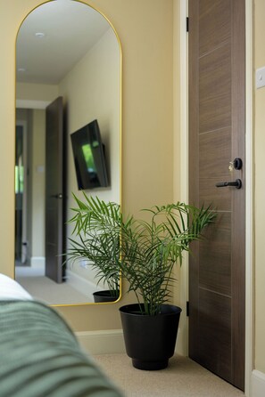 A room with a door, a mirror, and a potted plant.