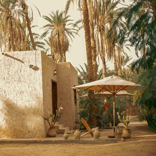 A rustic building with a door, surrounded by palm trees and potted plants. - Sahara Lounge (Tozeur)