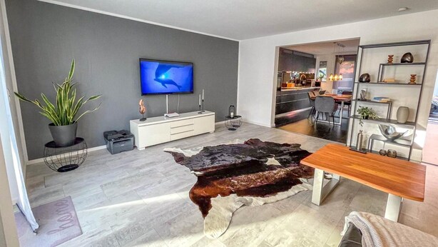 Fernseher