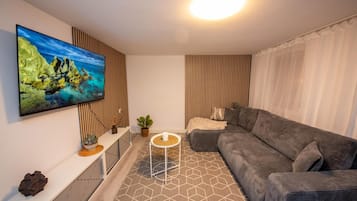 Fernseher