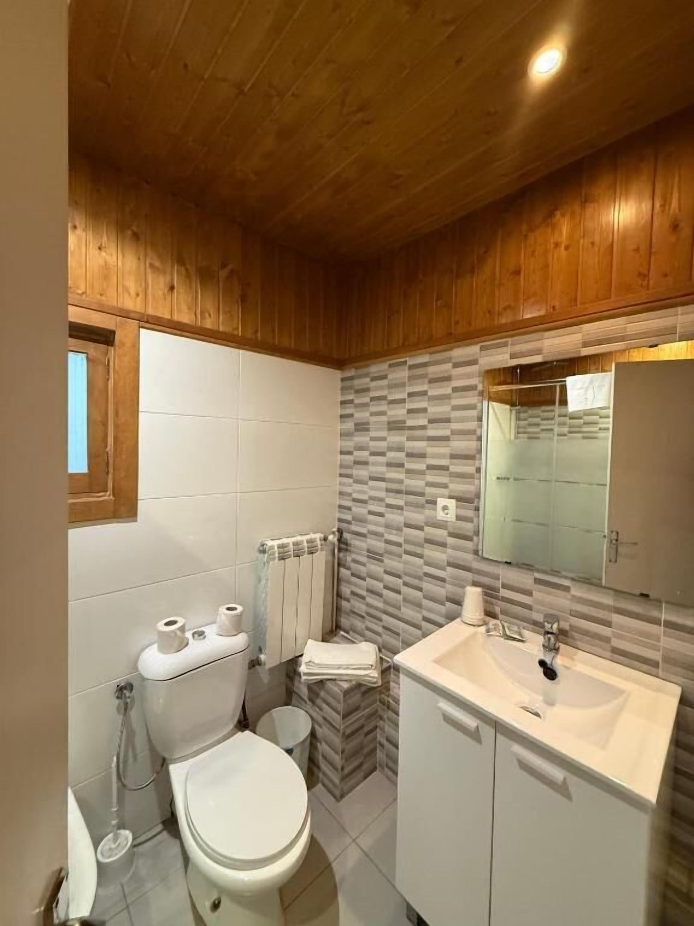 A bathroom with a toilet, sink, and mirror.