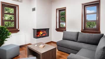 Televisión y chimenea