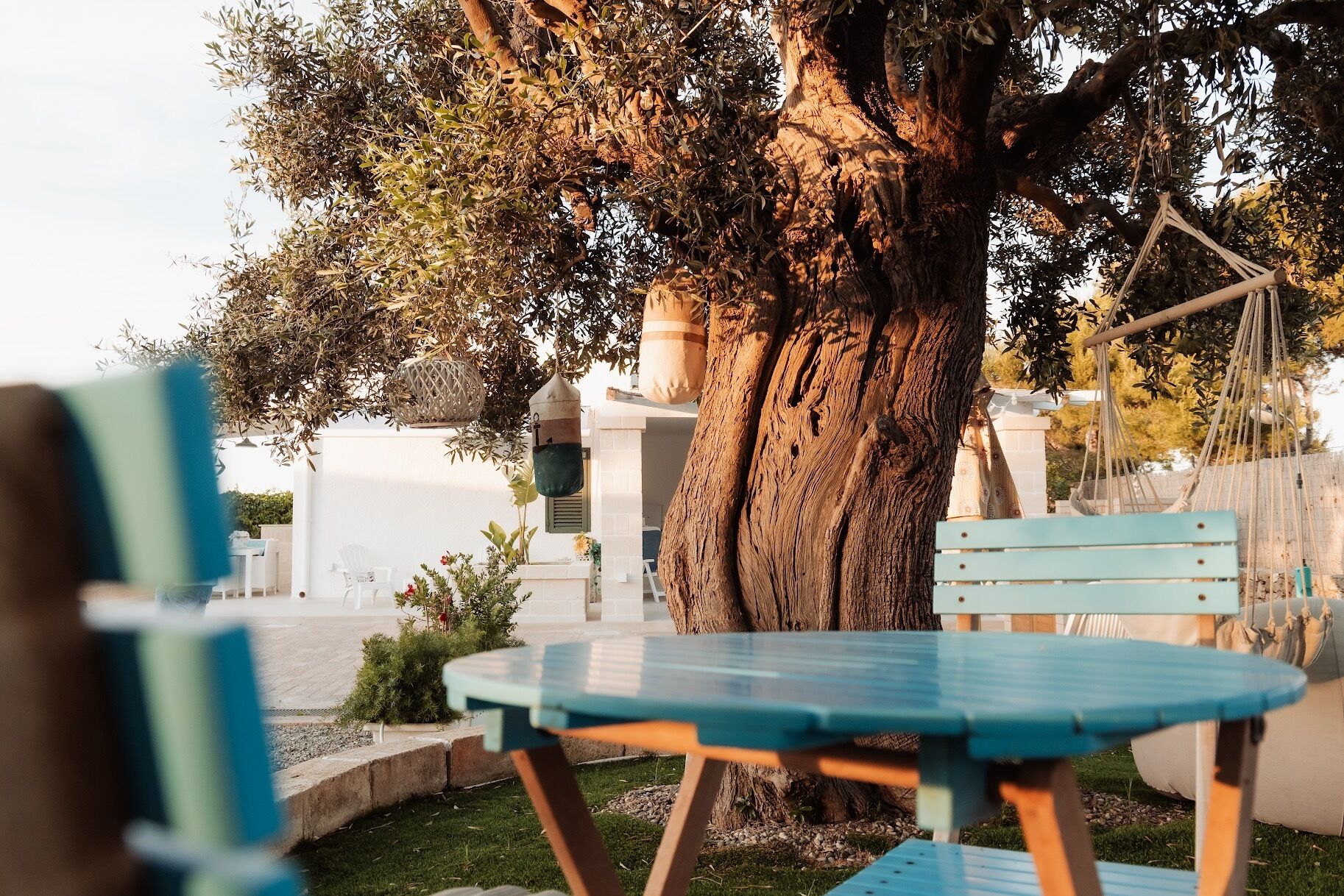 A table and chairs set outdoors with a large tree in the background.