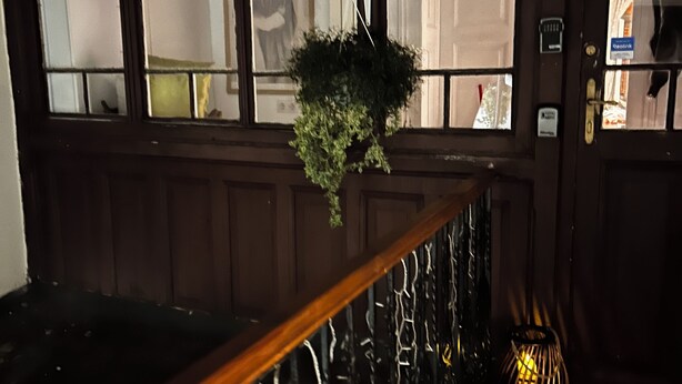 A wooden staircase with a railing, a hanging plant, and a textured wall. - "Lerosa Aaluna" Old Town Boutique Apartment, Sleeps 6 (Sibiu)