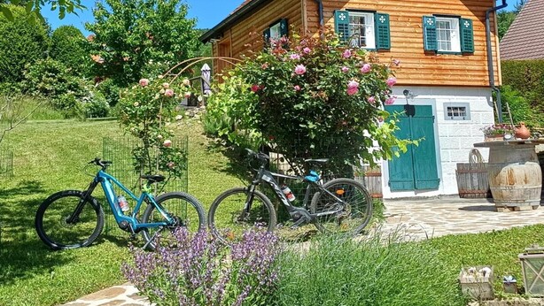 Een houten huis met een tuin, fietsen en een pad van stenen.