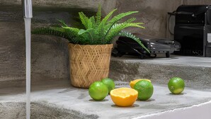 A concrete step with a potted fern, a coffee machine, and limes. - Kyanee (Adamantas)