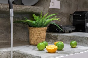 Ein Betonpodest mit einem Topf-Farn, einer Kaffeemaschine und Limetten.