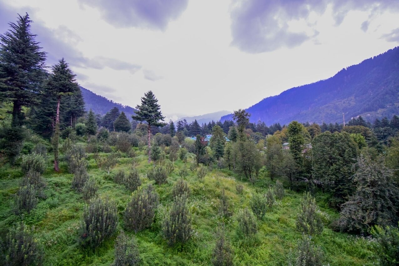 Vista desde la propiedad