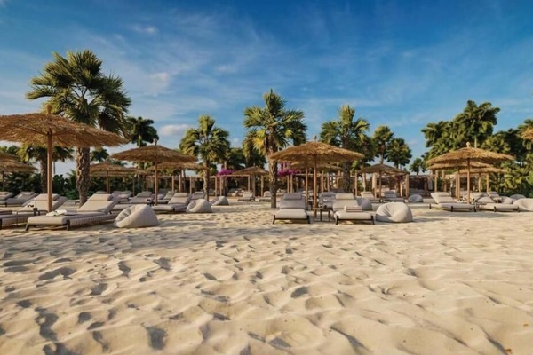 Executive Suite | Beach | Private beach, white sand
