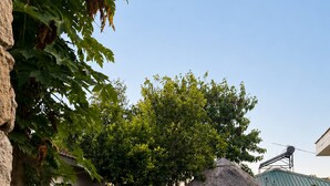 A well-maintained backyard with a thatched-roof gazebo, a stone wall, and a grassy lawn. - Modern Vic Falls Home (Victoria Falls)