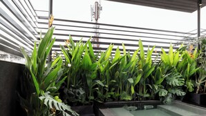 Un jardín en la azotea con diversas plantas, un elemento acuático y una terraza de madera.