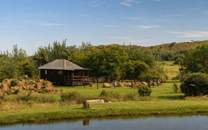 A rustic cabin with a metal roof, surrounded by a natural landscape with a pond, rocks, and trees.