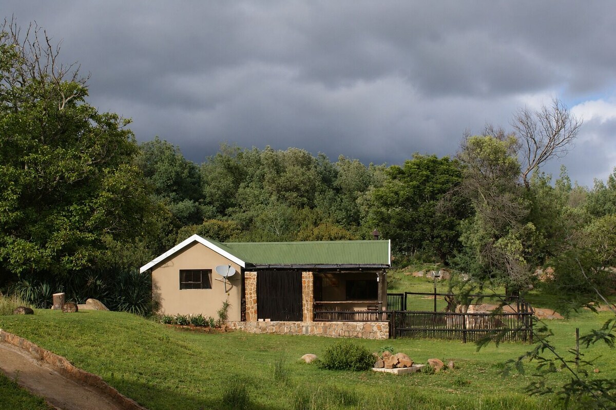 A single-story house with a green roof, surrounded by a grassy area and trees.