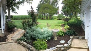 Terrace/patio - Sunset View Meadows (Ronks)