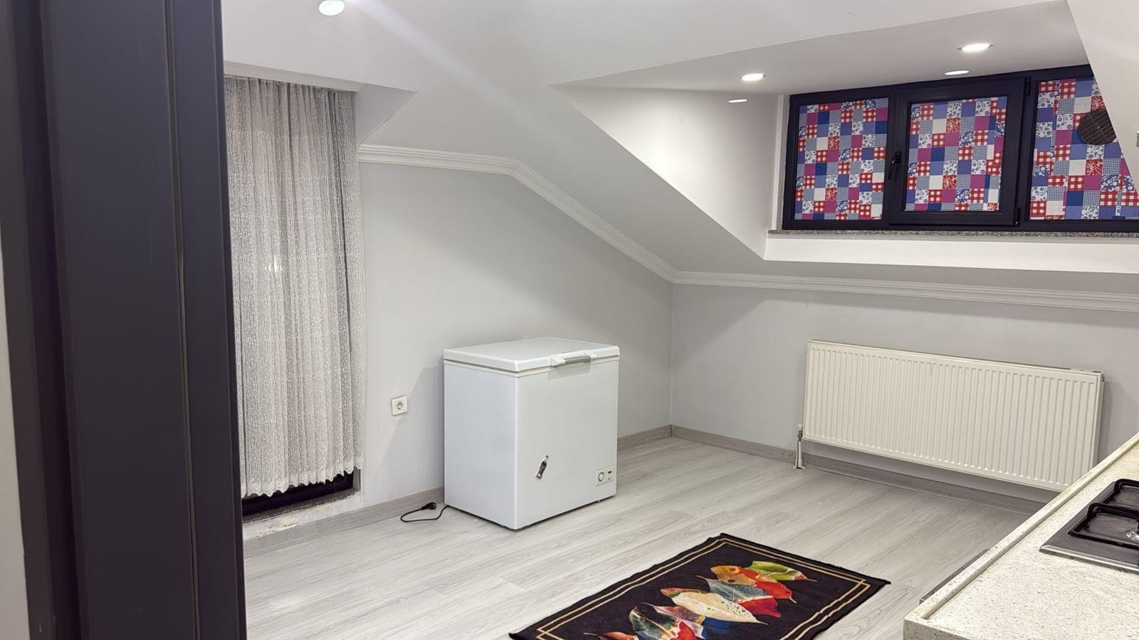 A compact room with a white radiator, a small white appliance, and a colorful rug.