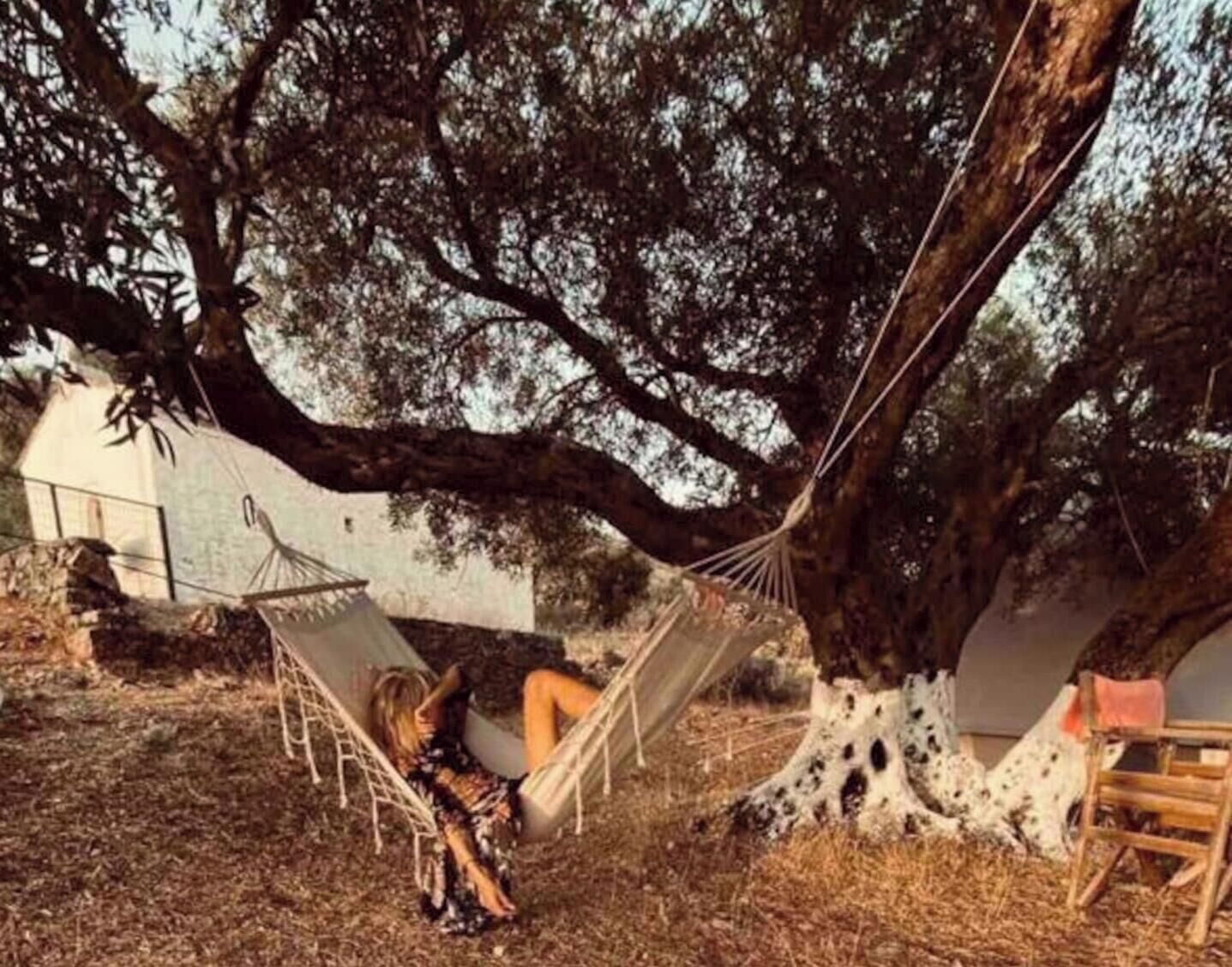 Eine Hängematte unter einem großen Baum, eine Holzbank und ein weißes Gebäude im Hintergrund.