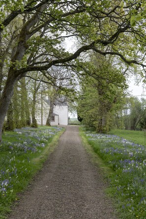 Un sendero de grava que lleva a un edificio blanco rodeado de árboles y flores azules.
