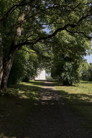 A gravel path leading to a white building surrounded by trees.