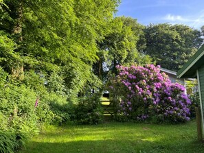 A lush garden with dense foliage and a flowering bush. - Brockwood (Bradworthy)