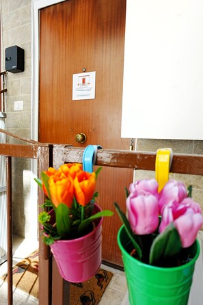 Eine Holztür mit einem Schild, ein Metallgitter und zwei Blumentöpfe mit Blumen.