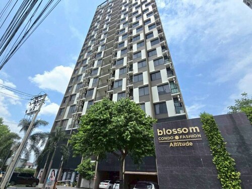 Blossom Comzy Duplex 