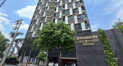 Blossom Comzy Duplex
