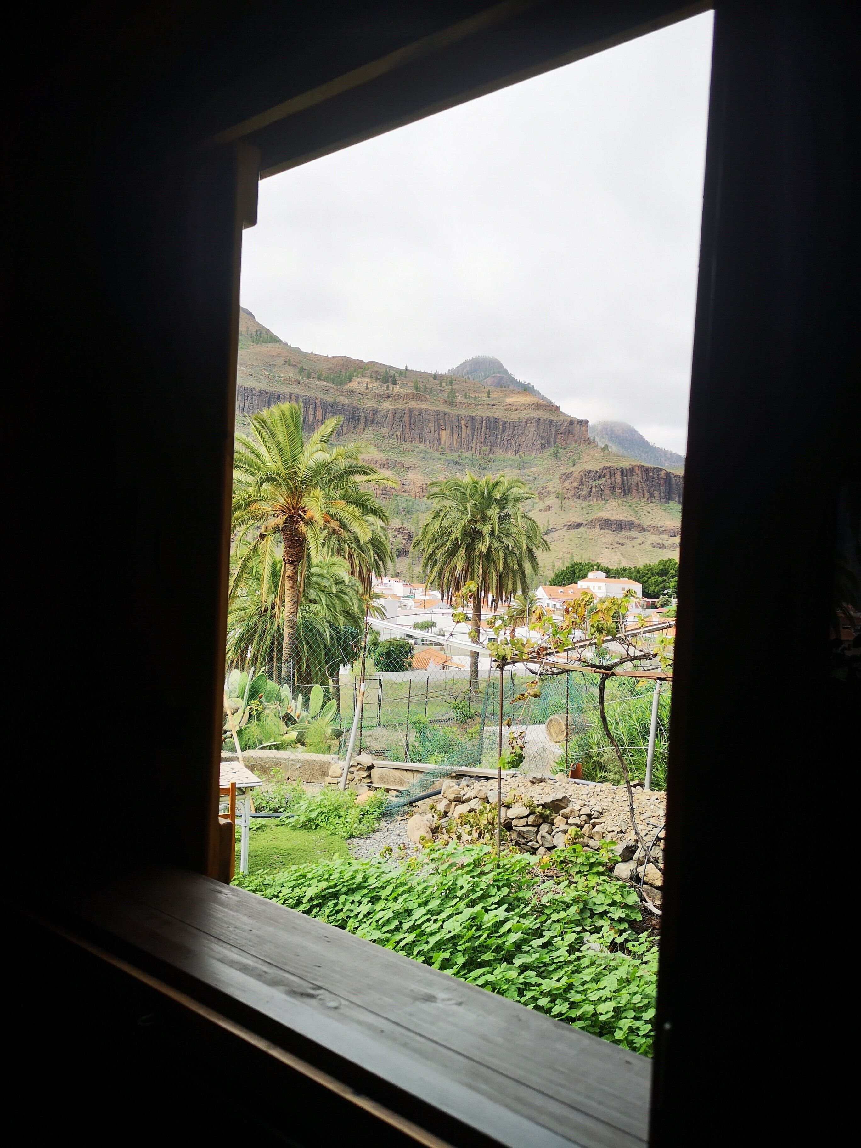 On aperçoit, à travers une fenêtre, un jardin avec des palmiers, une clôture et une montagne en arrière-plan.