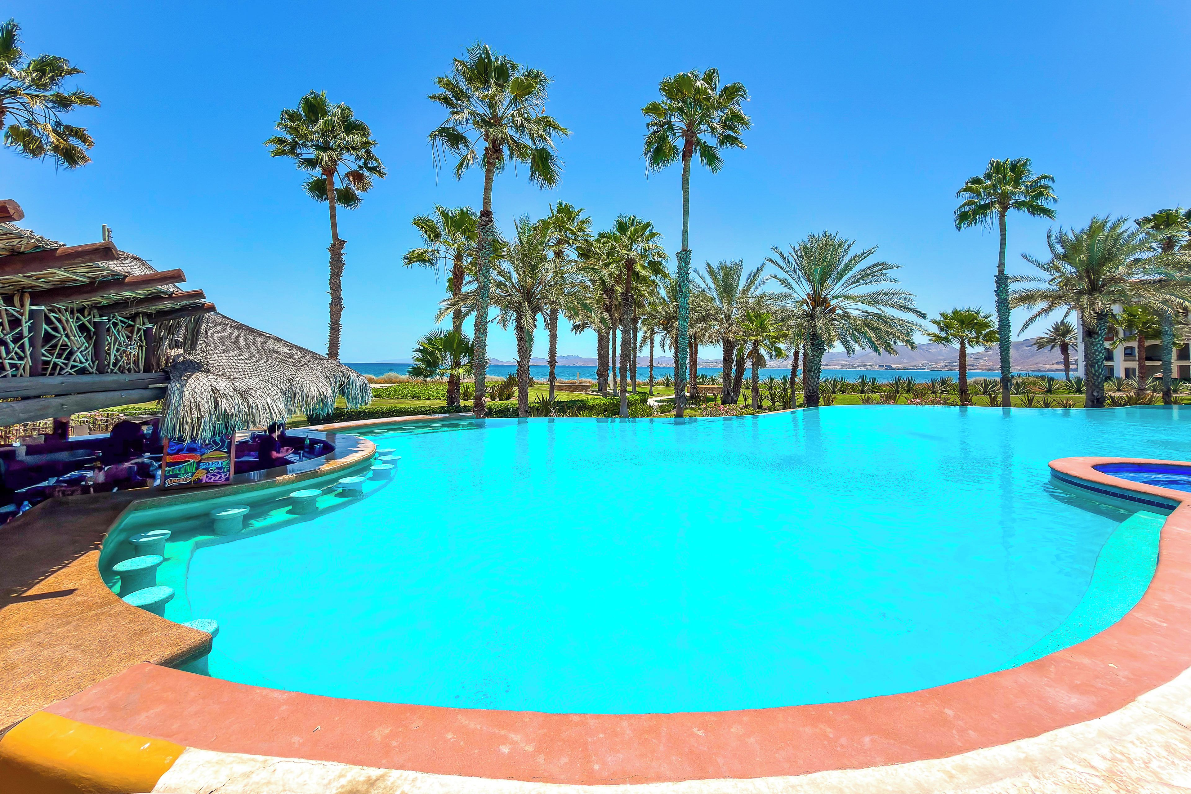 A swimming pool with a curved edge, surrounded by palm trees and a thatched-roof structure.