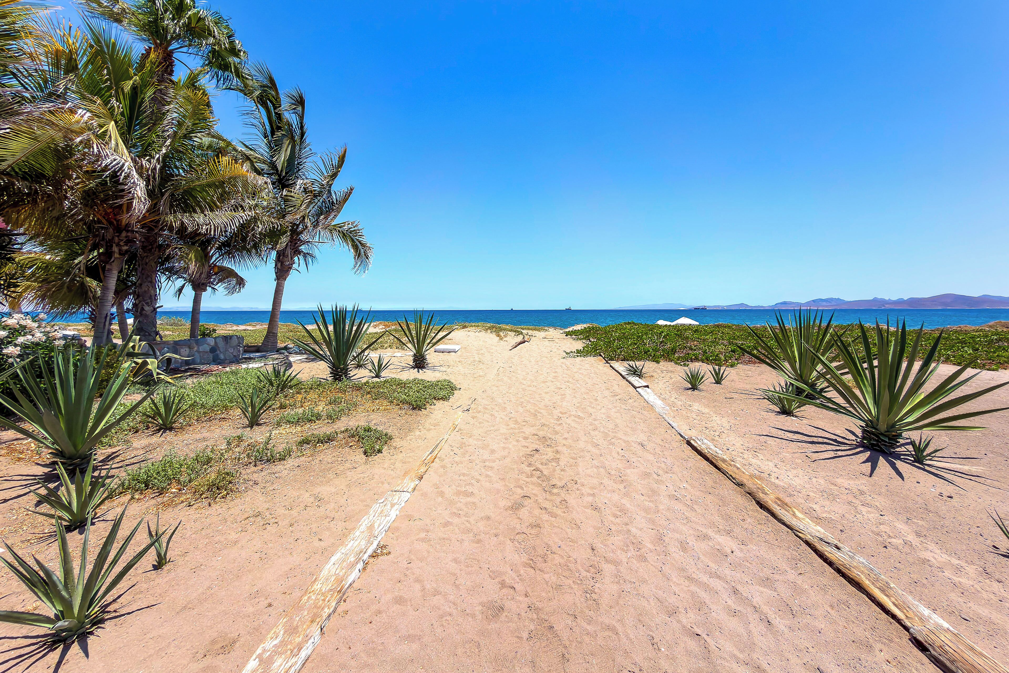 Uma trilha arenosa que leva a uma praia com palmeiras e plantas de agave.