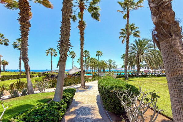 A pathway lined with palm trees leading to a pool area with a view of the sea. - Paraiso del Mar Casita: Walk to Beach & Pool! (La Paz)
