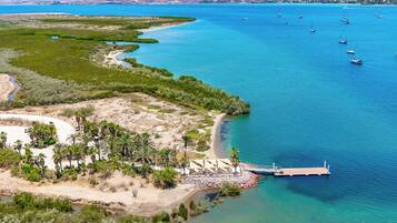 A coastal area with a dock, boats, and a beach with palm trees.