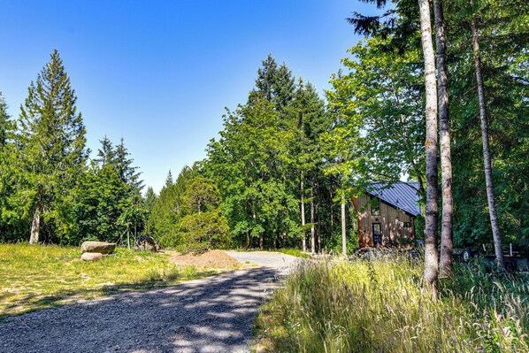 A gravel path leading to a wooden cabin surrounded by tall trees and a clear blue sky. - Modern PNW Cabin on 10 Wooded Acres (Warren)