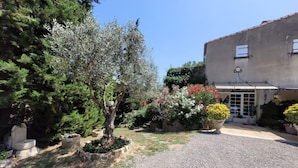 Property grounds - The Symphony of the Birds (Villelongue-d'Aude)