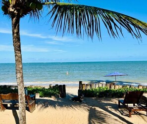 A beach with a palm tree, wooden benches, a dog, and a blue umbrella. - Pousada Vila do Patacho (Porto de Pedras)