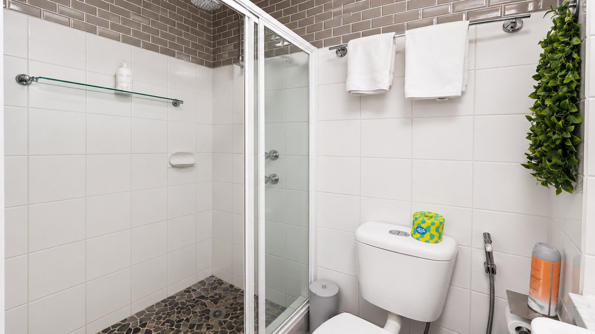 Shower, towels