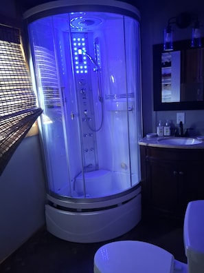 Shower, towels, soap, toilet paper