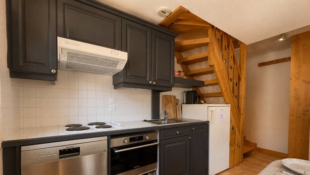 A kitchen with dark cabinets, a stainless steel dishwasher, an oven, and a white refrigerator. - Spacious duplex, mountain view - 5 guests (Méribel)